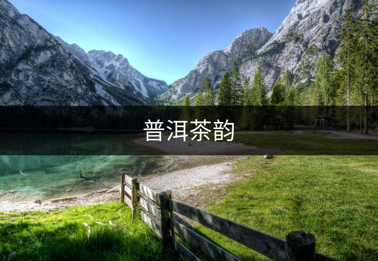 普洱茶韻 普洱茶韻