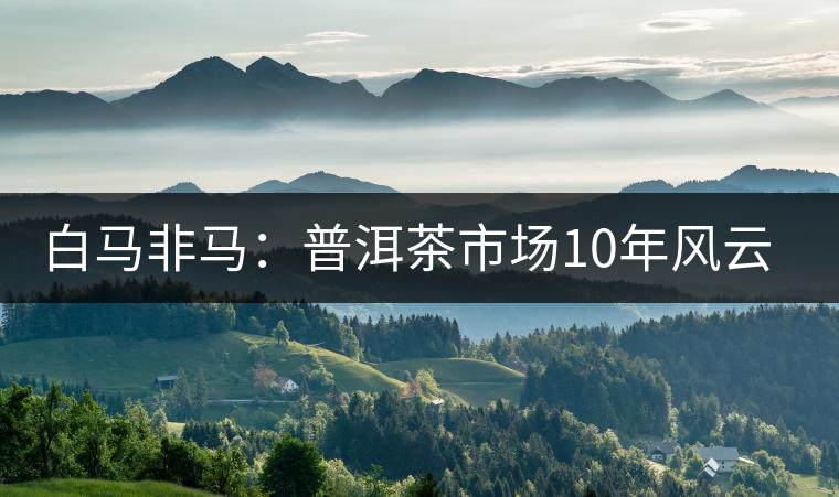 白馬非馬:普洱茶市場10年風云錄 白馬非馬:普洱茶市場10年風云錄