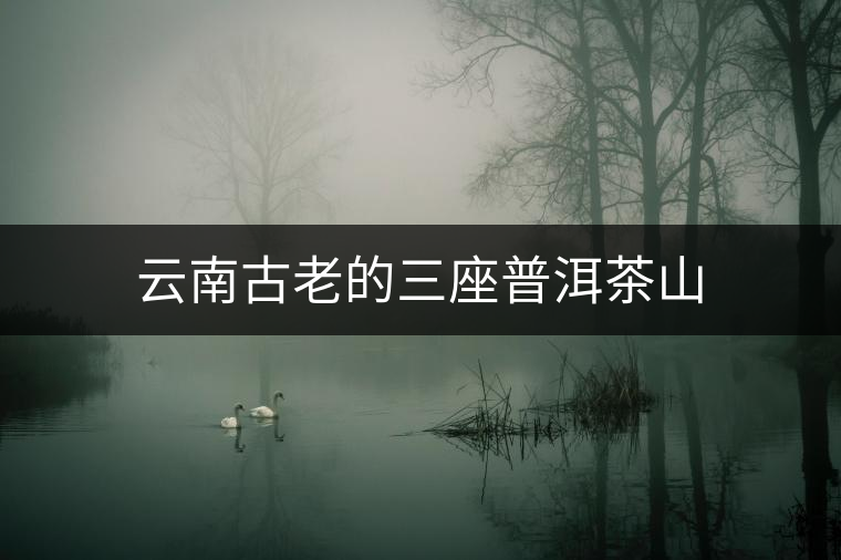 云南古老的三座普洱茶山 云南古老的三座普洱茶山