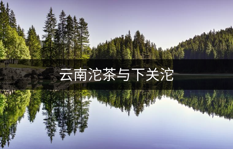 云南沱茶與下關(guān)沱 云南沱茶與下關(guān)沱