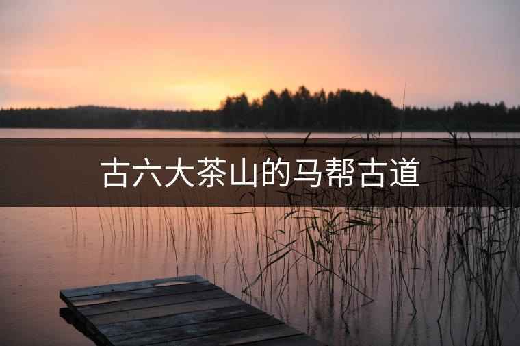 古六大茶山的馬幫古道 古六大茶山的馬幫古道