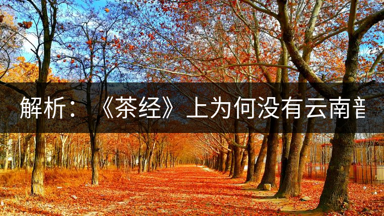 解析：《茶經(jīng)》上為何沒有云南普洱茶 ？
