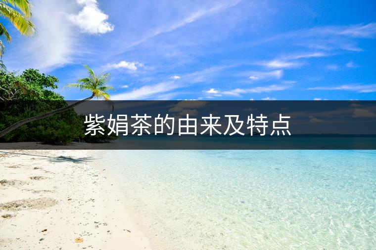 紫娟茶的由來及特點(diǎn) 紫娟茶的由來及特點(diǎn)