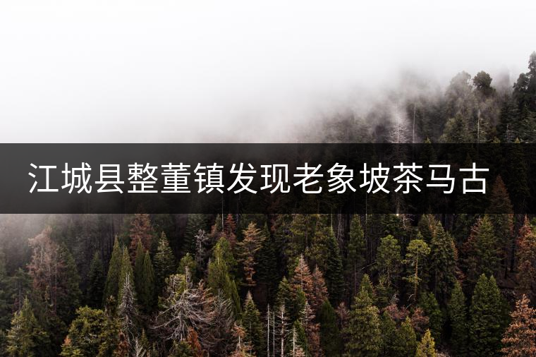 江城縣整董鎮(zhèn)發(fā)現(xiàn)老象坡茶馬古道遺跡 江城縣整董鎮(zhèn)發(fā)現(xiàn)老象坡茶馬古道遺跡