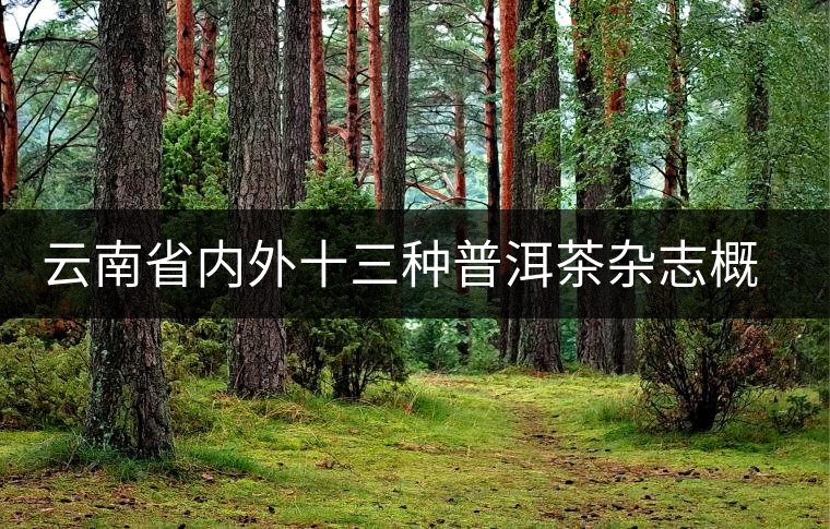 云南省內(nèi)外十三種普洱茶雜志概覽 云南省內(nèi)外十三種普洱茶雜志概覽