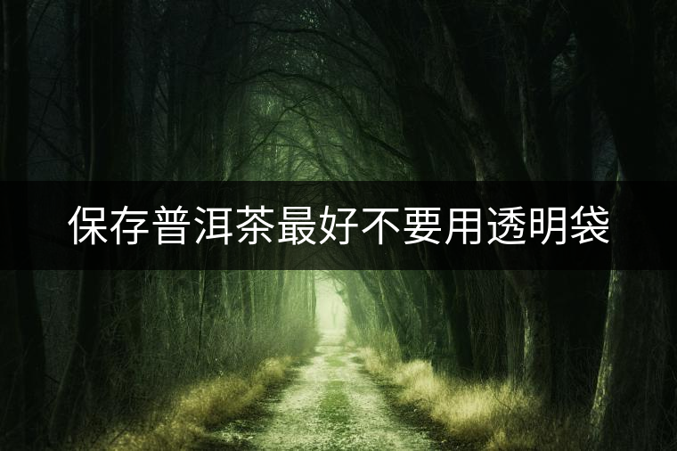 保存普洱茶最好不要用透明袋 保存普洱茶最好不要用透明袋