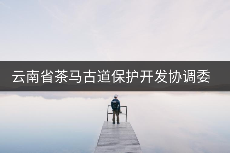 云南省茶馬古道保護(hù)開發(fā)協(xié)調(diào)委員會(huì)成立 云南省茶馬古道保護(hù)開發(fā)協(xié)調(diào)委員會(huì)成立