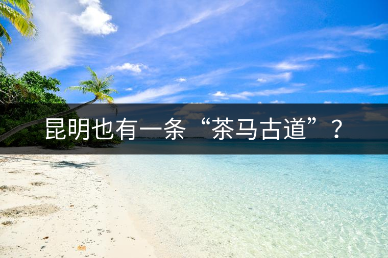 昆明也有一條“茶馬古道”？