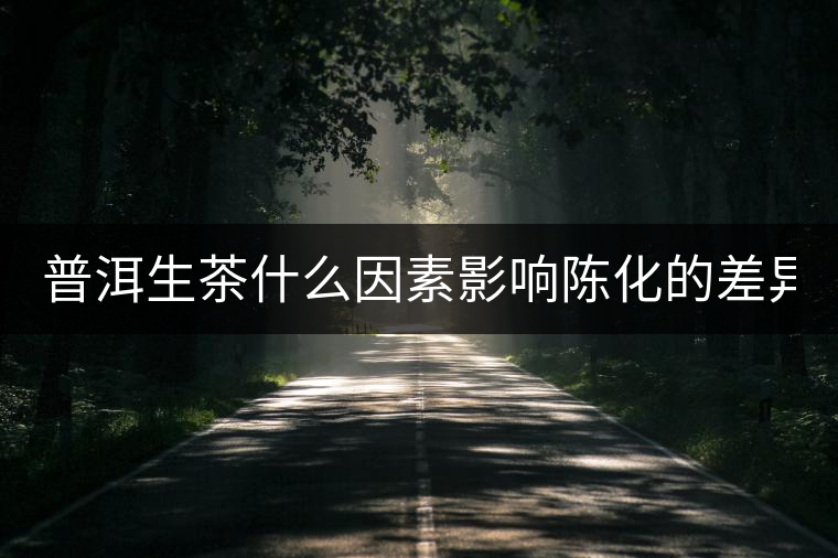 普洱生茶什么因素影響陳化的差異? 普洱生茶什么因素影響陳化的差異?