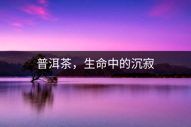 普洱茶，生命中的沉寂