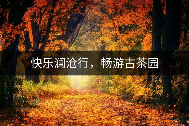 快樂(lè)瀾滄行，暢游古茶園