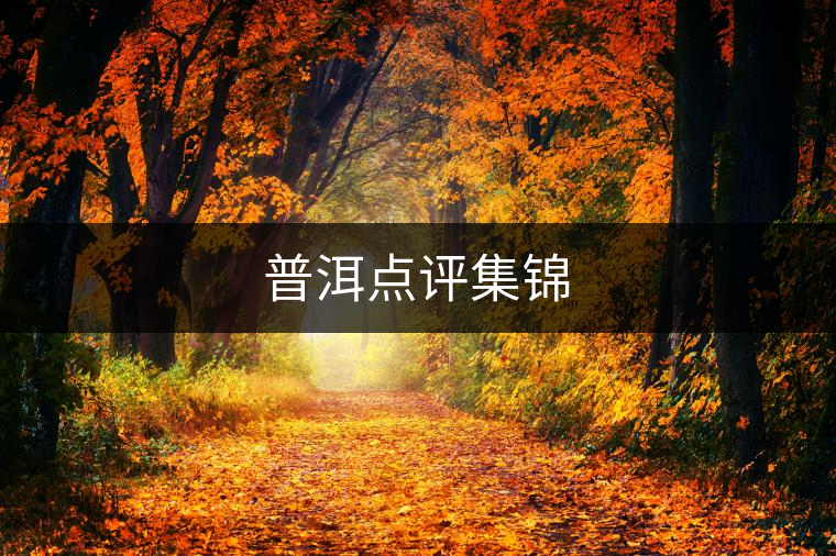 普洱點評集錦 普洱點評集錦