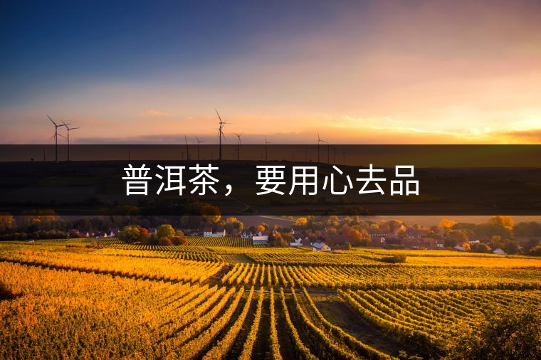 普洱茶，要用心去品