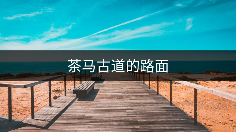 茶馬古道的路面 茶馬古道的路面