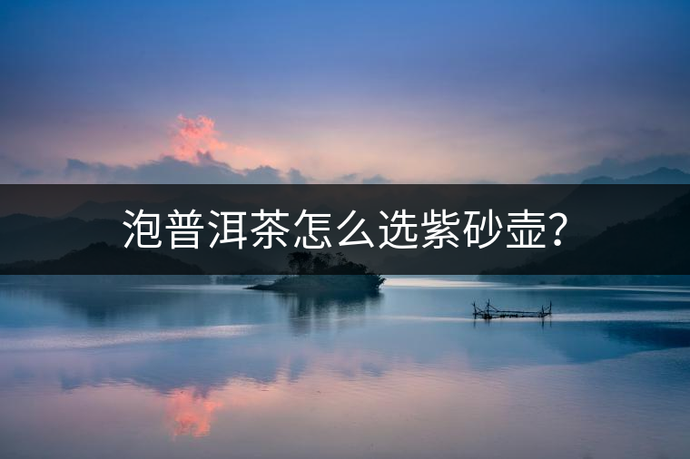 泡普洱茶怎么選紫砂壺？