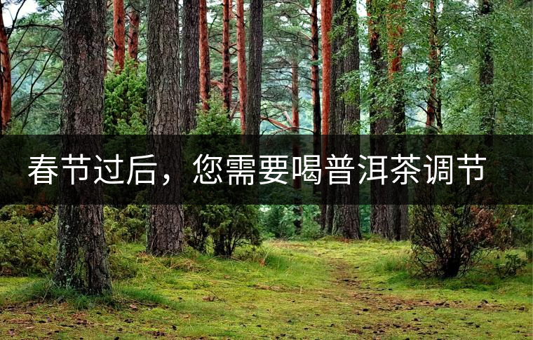 春節(jié)過后，您需要喝普洱茶調(diào)節(jié)身體