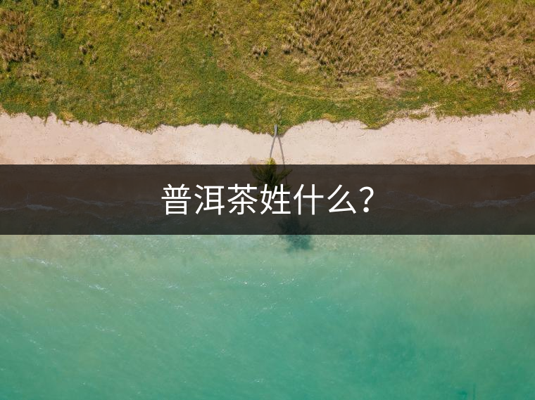 普洱茶姓什么？