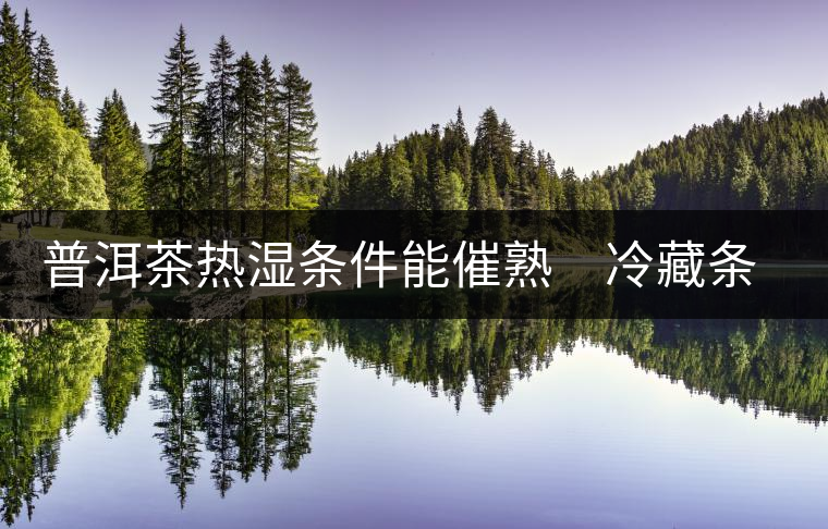 普洱茶熱濕條件能催熟 冷藏條件能增香 普洱茶熱濕條件能催熟 冷藏條件能增香