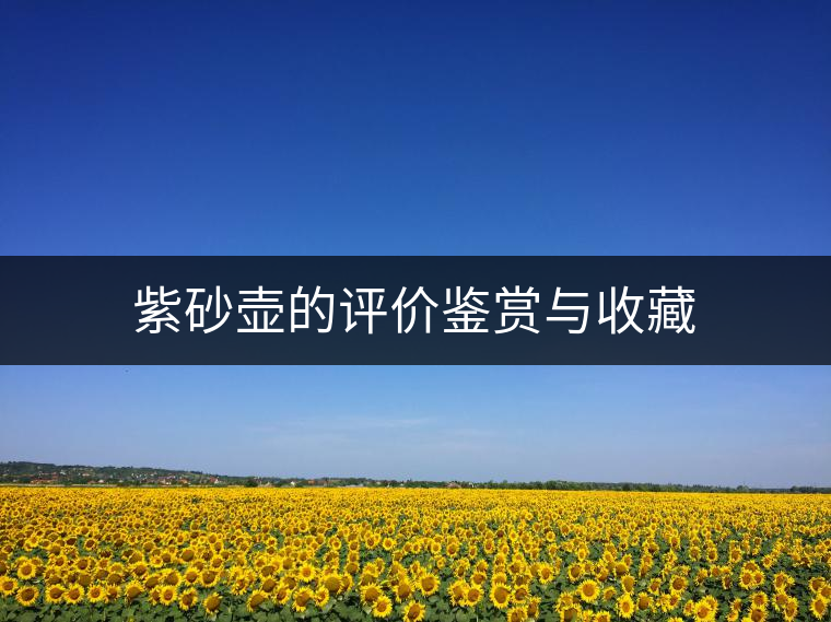 紫砂壺的評價(jià)鑒賞與收藏