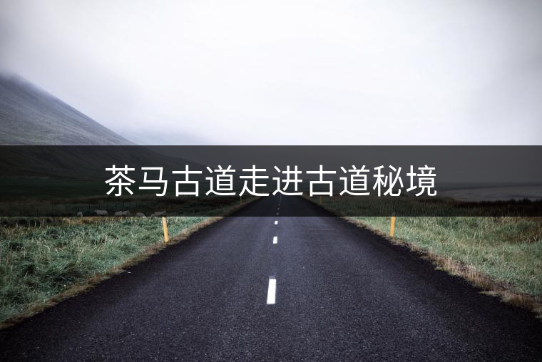茶馬古道走進(jìn)古道秘境 茶馬古道走進(jìn)古道秘境