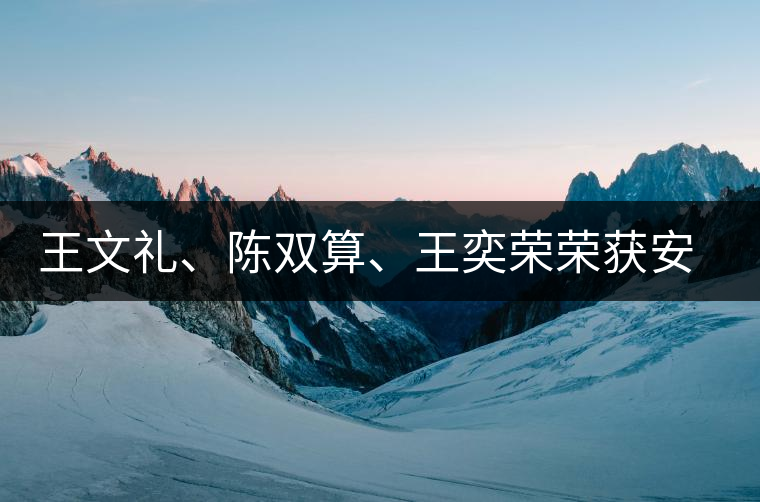 王文禮、陳雙算、王奕榮榮獲安溪茶界三杰