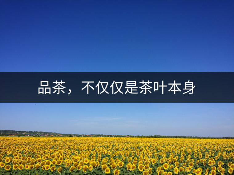 品茶，不僅僅是茶葉本身