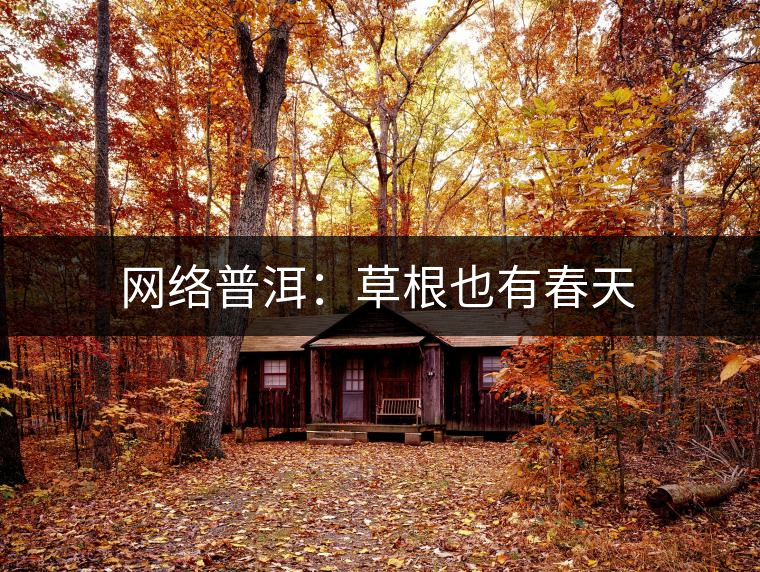 網(wǎng)絡普洱：草根也有春天