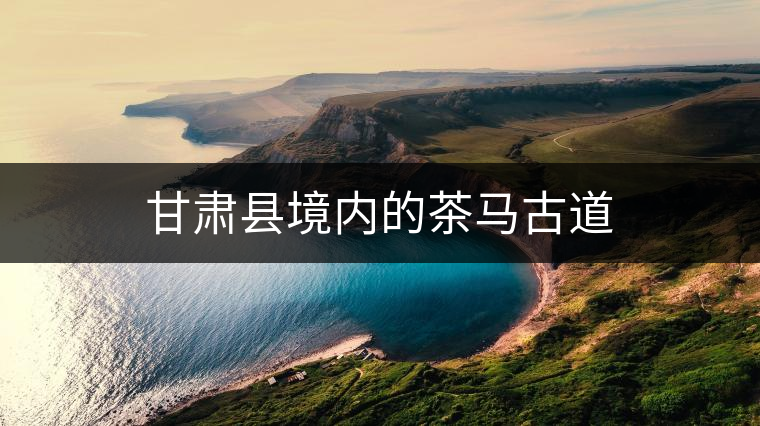 甘肅縣境內(nèi)的茶馬古道 甘肅縣境內(nèi)的茶馬古道