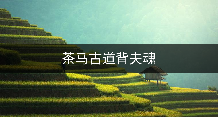 茶馬古道背夫魂 茶馬古道背夫魂