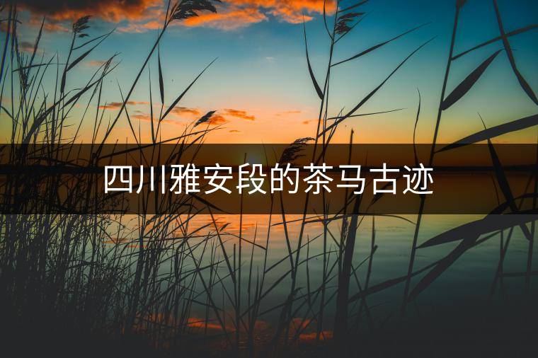 四川雅安段的茶馬古跡