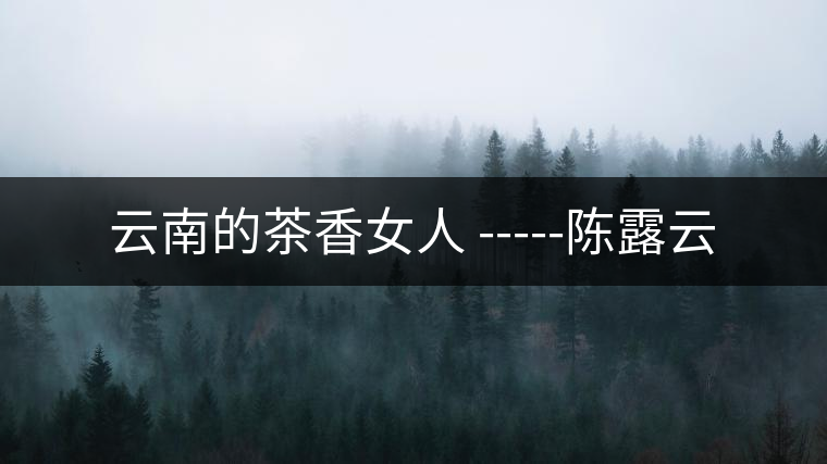 云南的茶香女人 -----陳露云 云南的茶香女人 -----陳露云