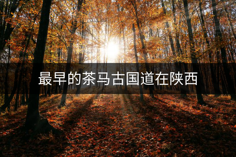 最早的茶馬古國道在陜西 最早的茶馬古國道在陜西