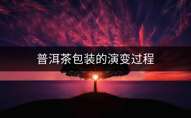 普洱茶包裝的演變過程 普洱茶包裝的演變過程