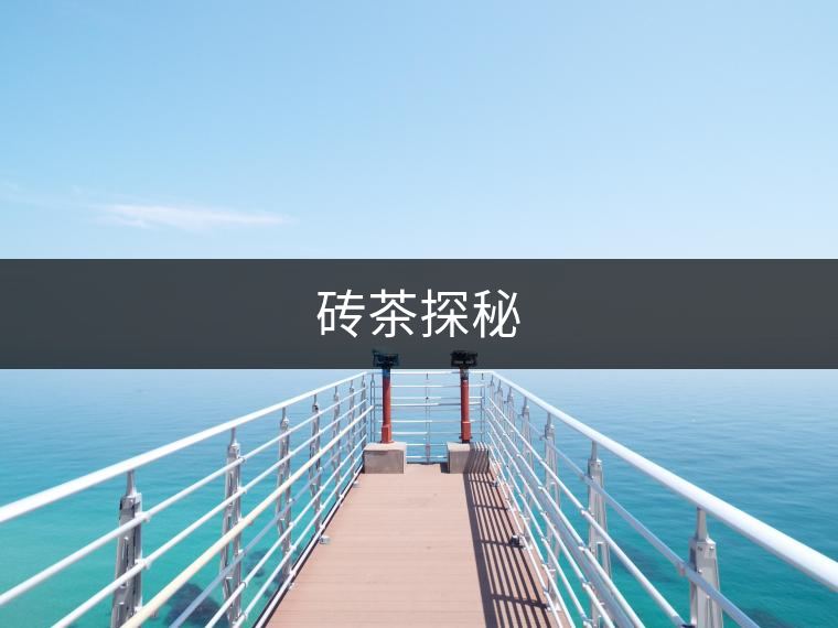 磚茶探秘 磚茶探秘