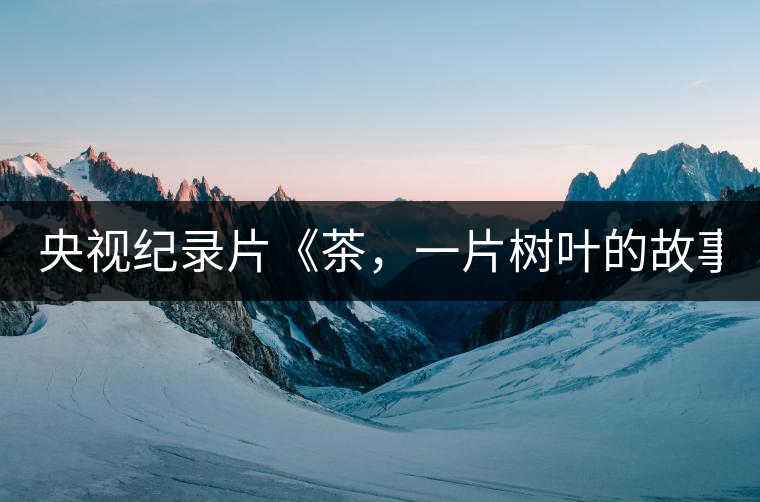 央視紀(jì)錄片《茶，一片樹葉的故事》紀(jì)錄片 昨晚開播