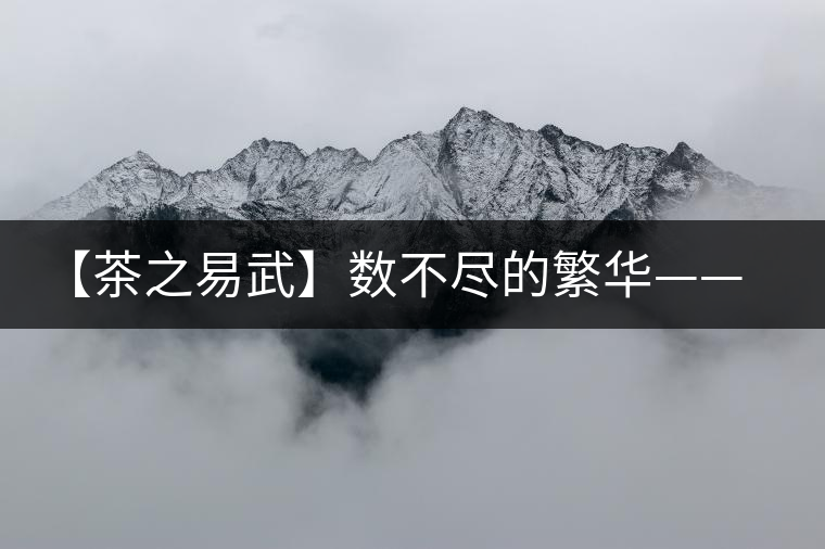 【茶之易武】數(shù)不盡的繁華——易武茶的步履 【茶之易武】數(shù)不盡的繁華——易武茶的步履