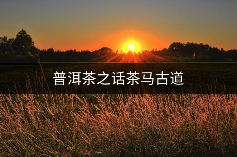 普洱茶之話茶馬古道