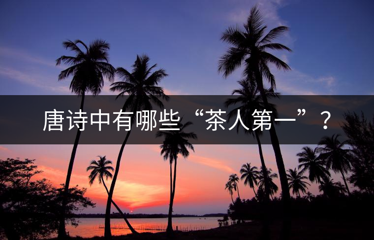 唐詩中有哪些“茶人第一”？