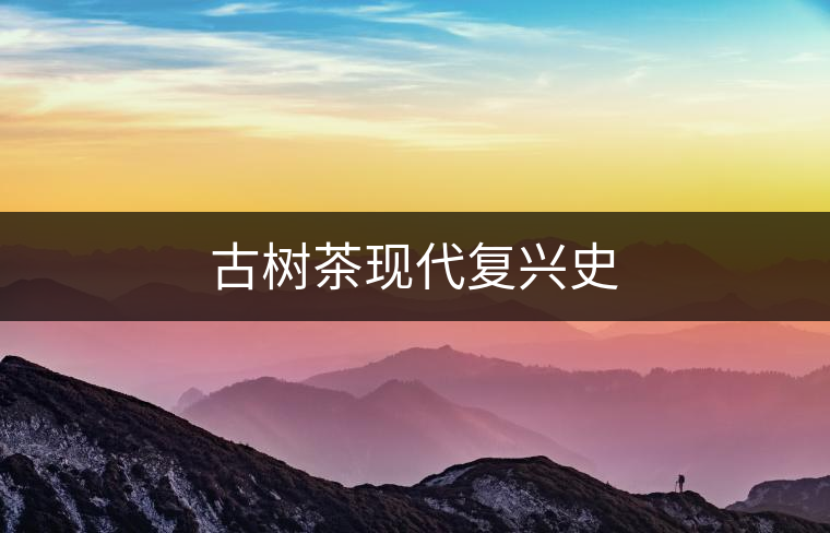 古樹茶現(xiàn)代復興史 古樹茶現(xiàn)代復興史