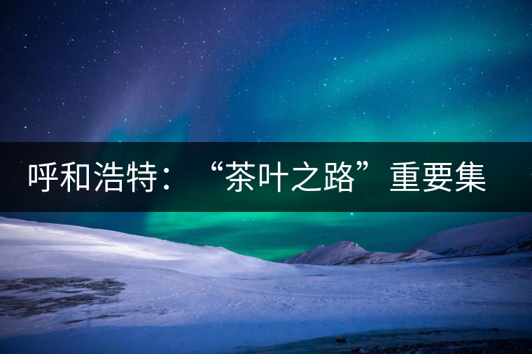 呼和浩特:“茶葉之路”重要集散地 呼和浩特:“茶葉之路”重要集散地