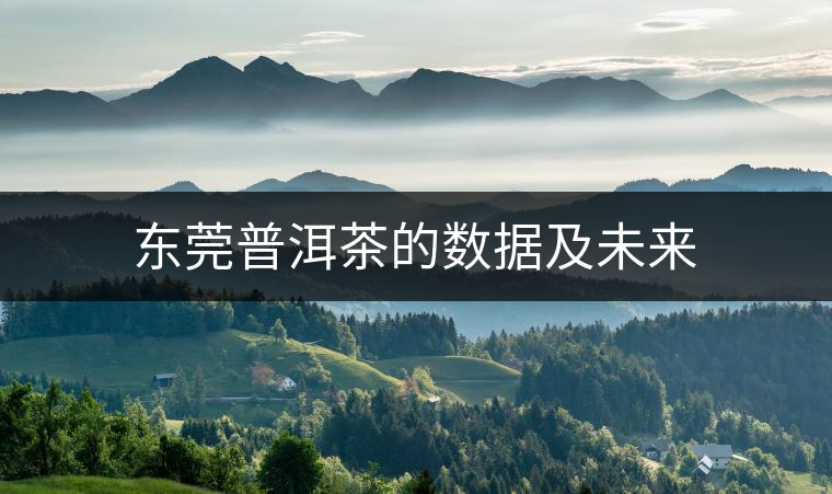 東莞普洱茶的數(shù)據(jù)及未來 東莞普洱茶的數(shù)據(jù)及未來