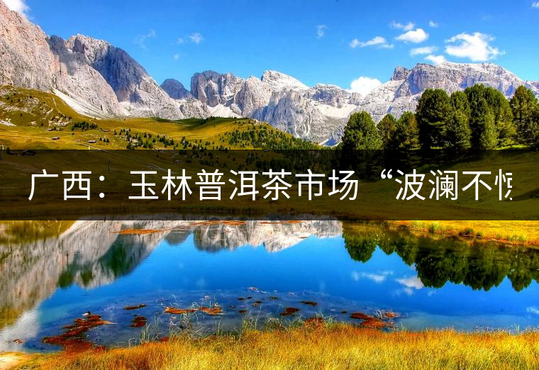 廣西：玉林普洱茶市場“波瀾不驚”