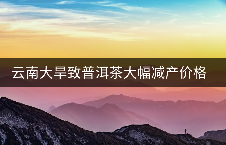 云南大旱致普洱茶大幅減產(chǎn)價格上揚(yáng) 云南大旱致普洱茶大幅減產(chǎn)價格上揚(yáng)