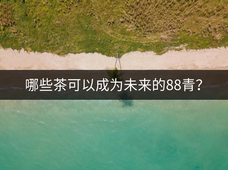 哪些茶可以成為未來(lái)的88青？