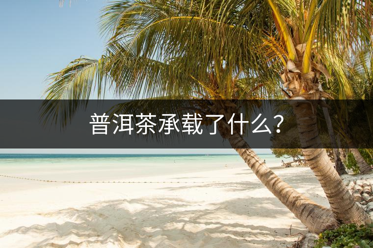 普洱茶承載了什么？