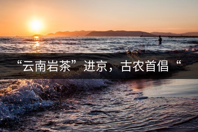 “云南巖茶”進京，古農(nóng)首倡“名茶+名企”戰(zhàn)略