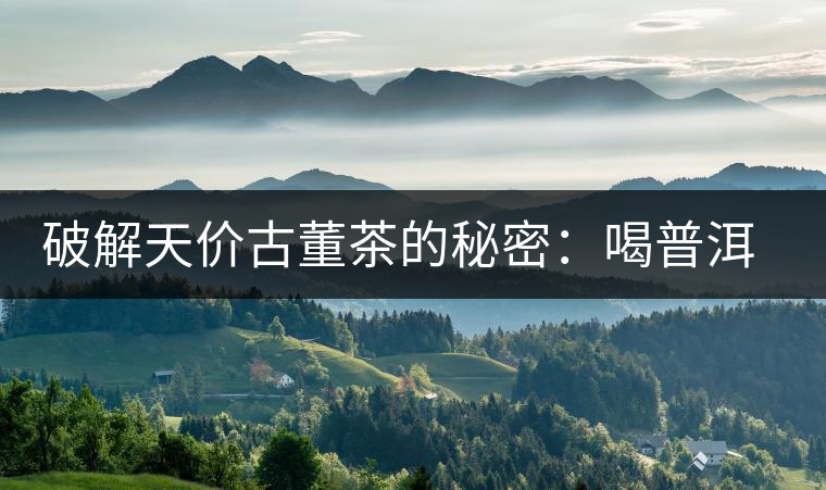 破解天價古董茶的秘密：喝普洱茶成了喝故事，喝包裝紙