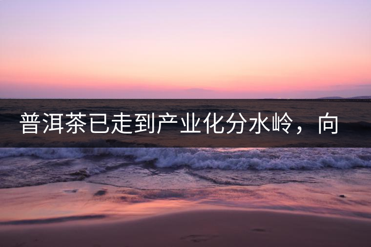 普洱茶已走到產業(yè)化分水嶺，向左還是向右？