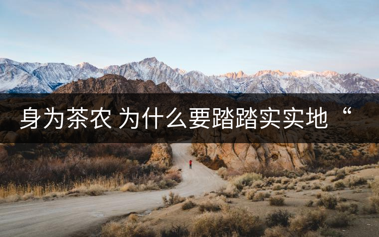 身為茶農(nóng) 為什么要踏踏實(shí)實(shí)地“放毒”！