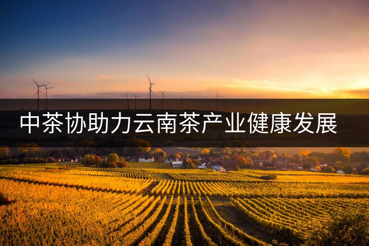 中茶協(xié)助力云南茶產(chǎn)業(yè)健康發(fā)展——第十一屆中國云南普洱茶國際博覽交易會隆重舉行